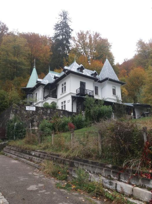 Il Piccolo Castello Busteni Buşteni Exterior foto