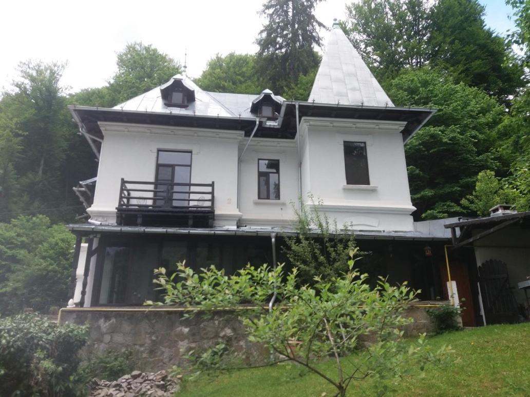 Il Piccolo Castello Busteni Buşteni Exterior foto