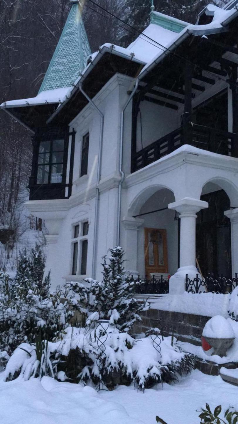 Il Piccolo Castello Busteni Buşteni Exterior foto