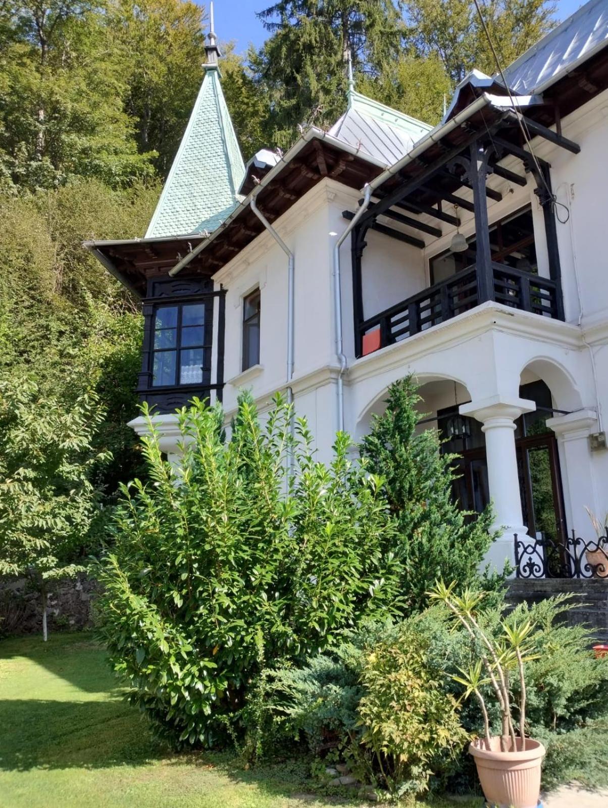 Il Piccolo Castello Busteni Buşteni Exterior foto