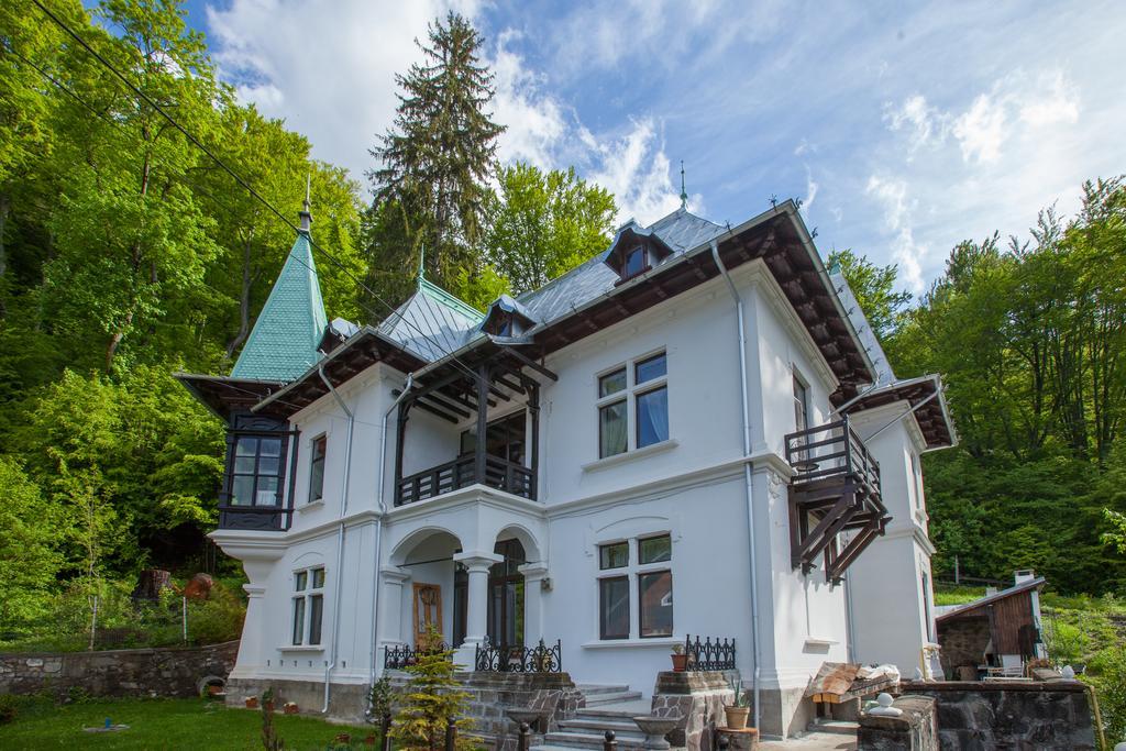 Il Piccolo Castello Busteni Buşteni Exterior foto